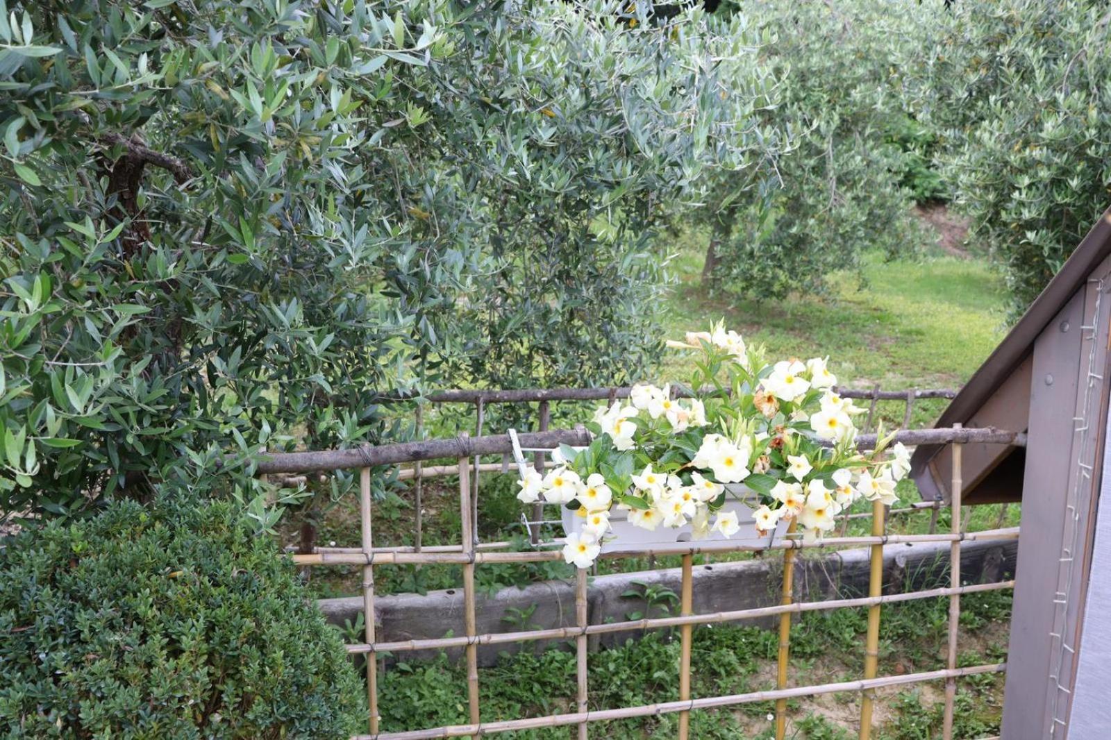 Cevoli Country Resort Lari Exteriér fotografie