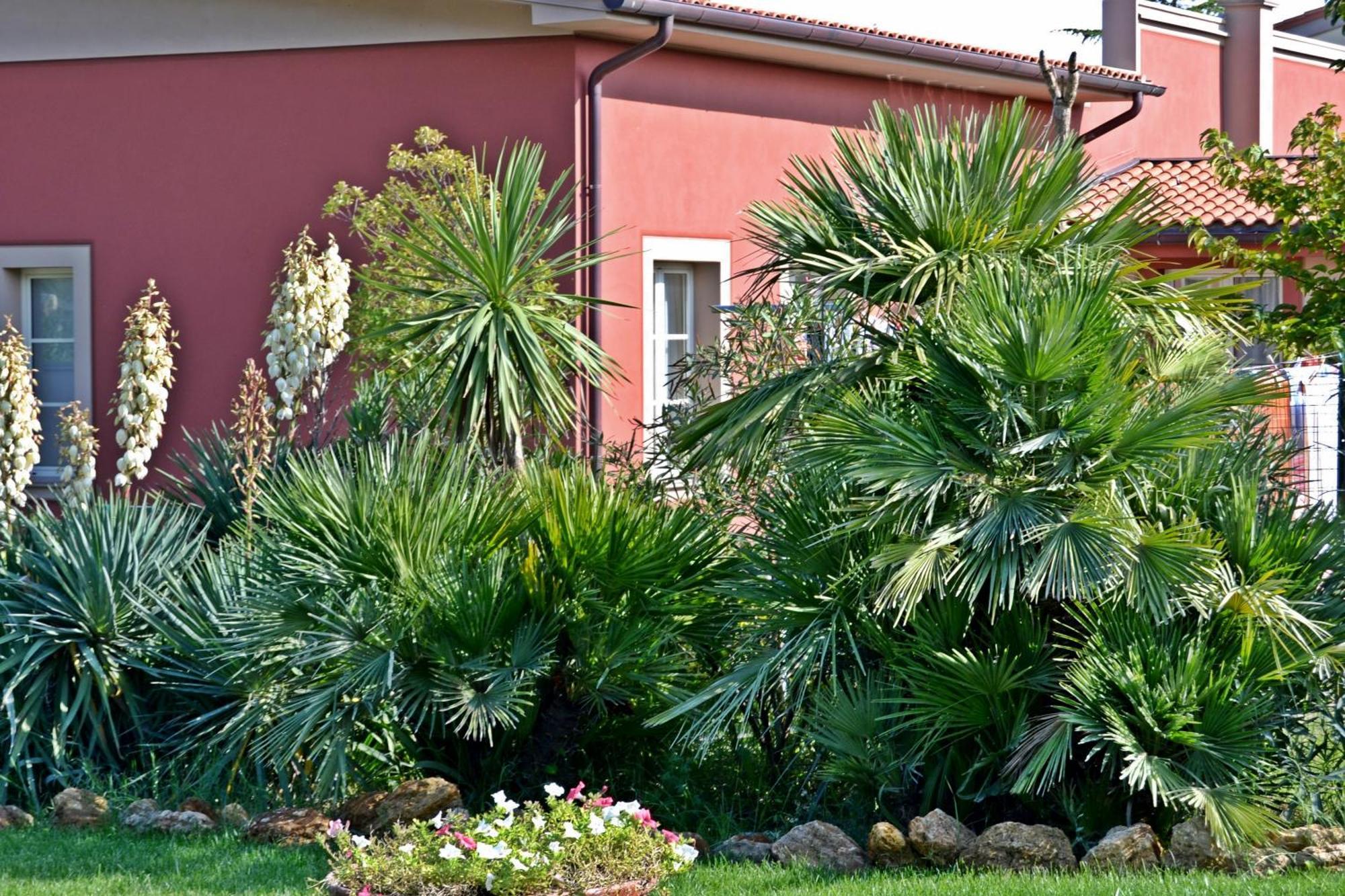 Cevoli Country Resort Lari Exteriér fotografie