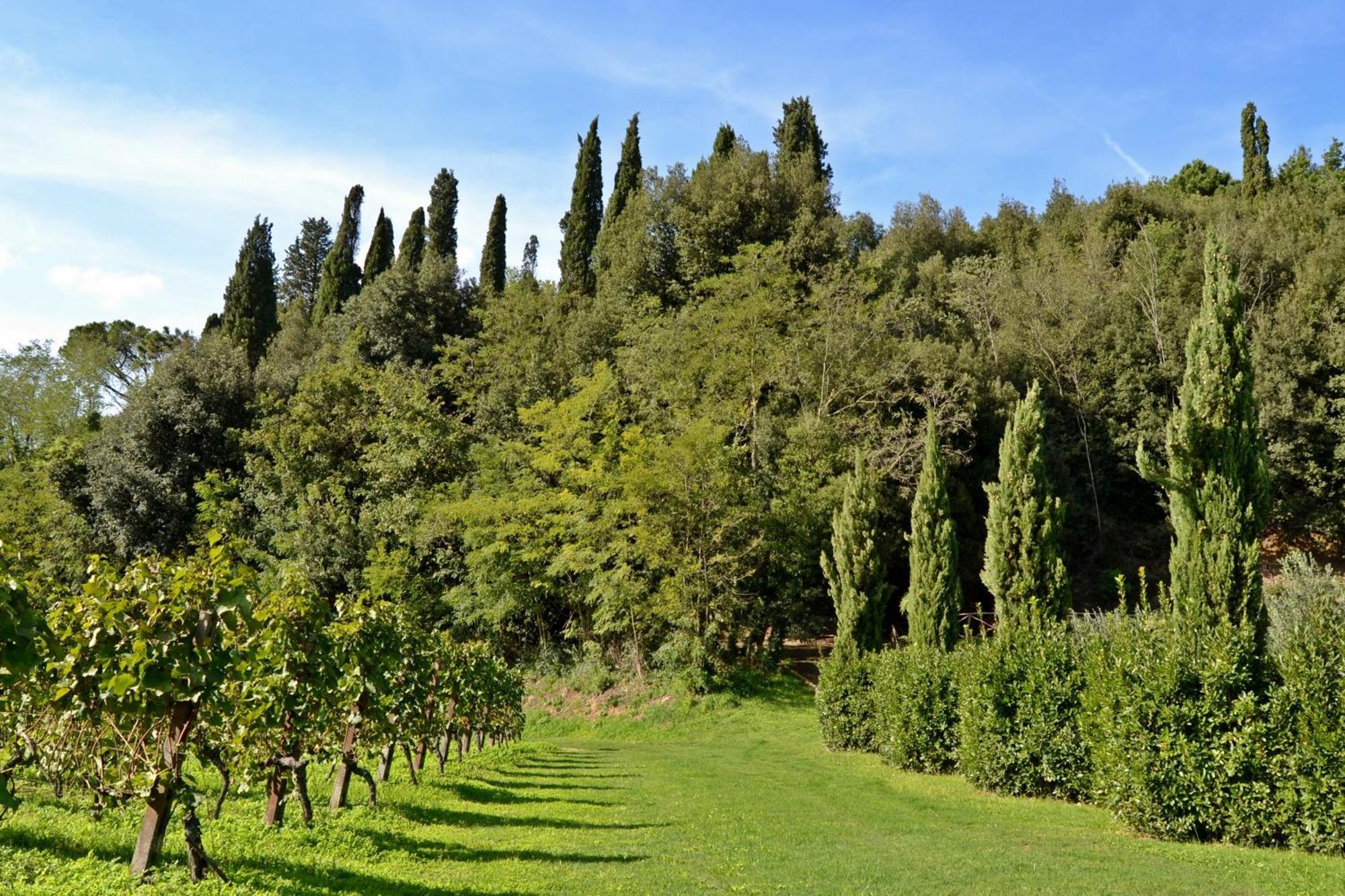 Cevoli Country Resort Lari Exteriér fotografie